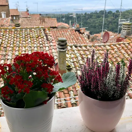 Dimor'a לינה וארוחת בוקר 4*